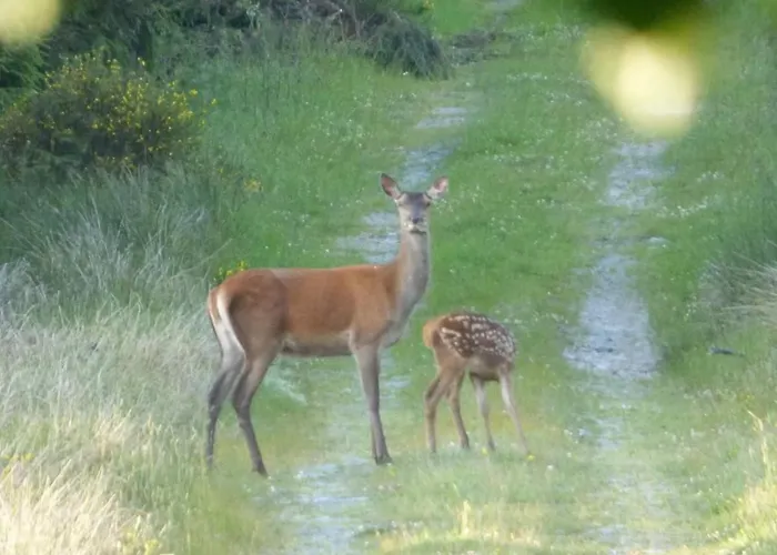 Logis L'Ermitage, Bistrot Des Saveurs Hotel