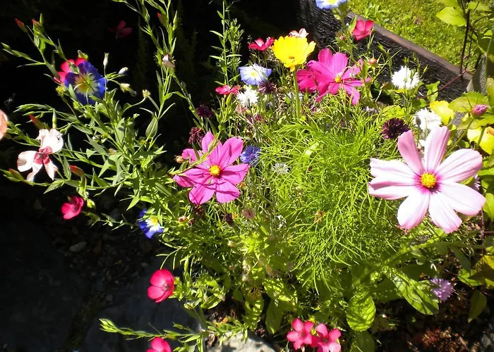 Logis L'Ermitage, Bistrot Des Saveurs