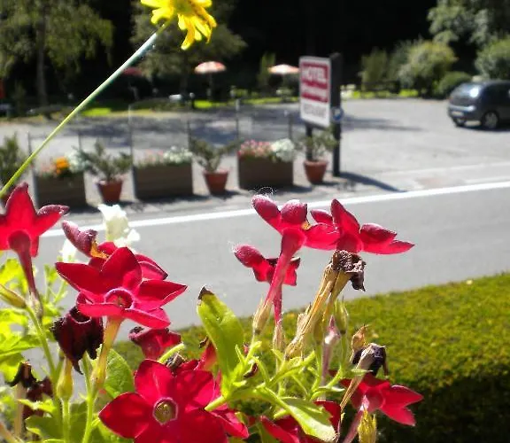 Hotel Logis L'Ermitage, Bistrot Des Saveurs Houffalize