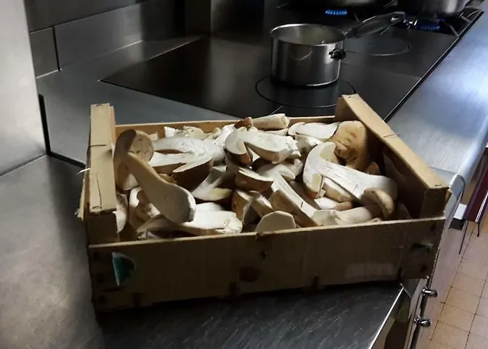 Logis L'Ermitage, Bistrot Des Saveurs Hotel Houffalize